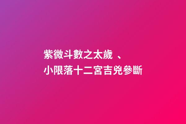 紫微斗數之太歲、小限落十二宮吉兇參斷